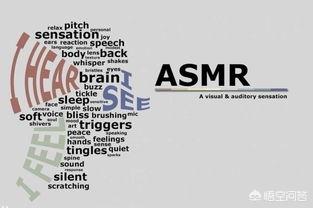 ASMR是什么意思？  意思 什么 ASMR 第1张