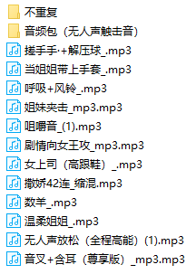 B站一只蛋舰长音频 27部 442MB